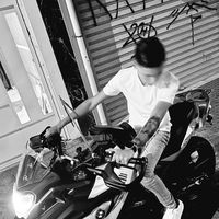 limax.zl