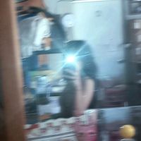 diana.perez7159