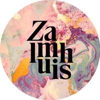 origineel geluid - Zalmhuis