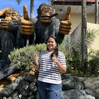 cess13019