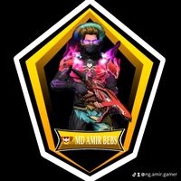 ng.amir.2.0