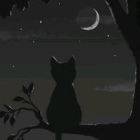 songs_xeditz