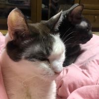 オリジナル楽曲 - Hiro💄💜