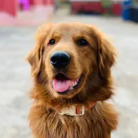 original sound - sai.phon.kham