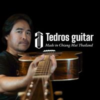 tedros_guitar_customshop