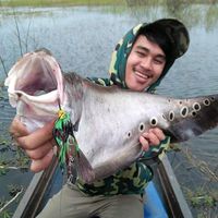 mmasterfrongtnailand