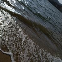 user31115079066846