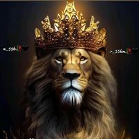 r_55bz