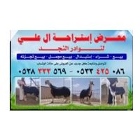 fasil.1410