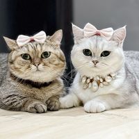 tingkah_tara