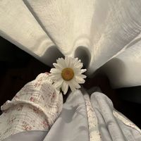 moondaisyy_