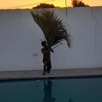 real_emerson0