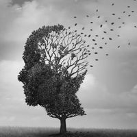 hayallerimsanaemanet