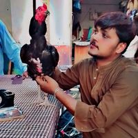 rana.haider7
