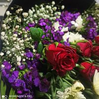 ebru_276