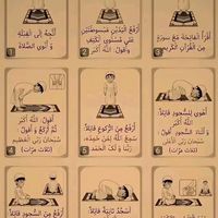 user35316339802738