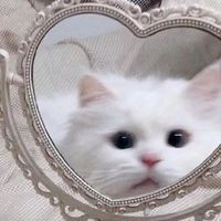 오리지널 사운드 - 🍋‍🟩레몬이🌱