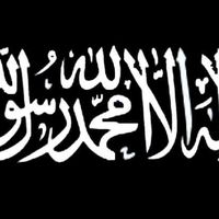sharyfmohamed142