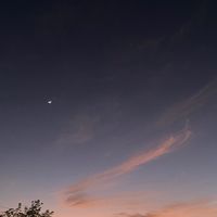 kins.19