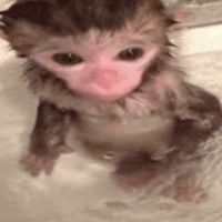 kwwrazyss
