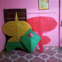 user31124377153863