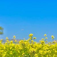 オリジナル楽曲 - り→→→