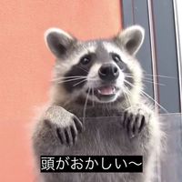 無神経な女
