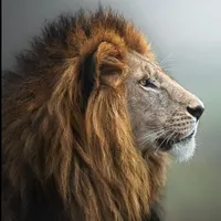 original sound - kingalpha190