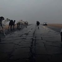 الصوت الأصلي