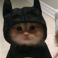 nhạc nền - Shu Boy 71