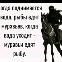 yusufimisri