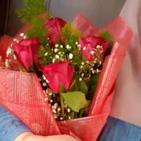 original sound - linaezalrigal