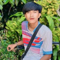 zx09mkpollkk