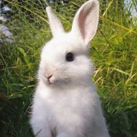 demalin4storytimes