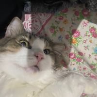 wink.co
