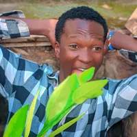 original sound - irkkeyzmount