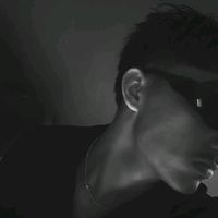 ferr.113