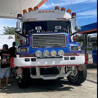 el_bby19