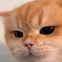 Xin 1 Đêm Yêu Em_Pi Se7en Remix