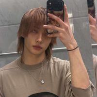 stray_qualquer7