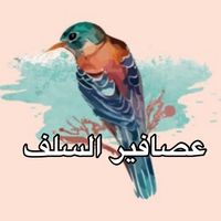 alsaalf78