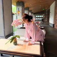 nhạc nền - Ly Phạm