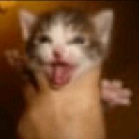 original sound - Hviok1280