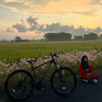 anis_fuji