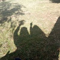 fifis._8