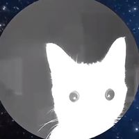 usuario_no_encontr52