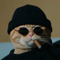 原声 - cc_cat