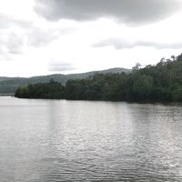 brovisalzin