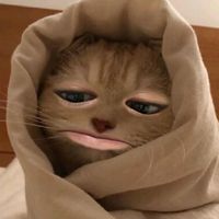 nhanhanha__04