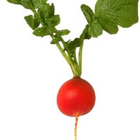 оригинальный звук - Egorkinsss2